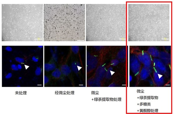 爱茉莉太平洋发表绿茶成分防微尘效果相关论文