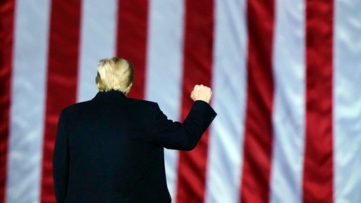 Impeachment-Vorwurf gegen Trump: Anstiftung zum Aufruhr
