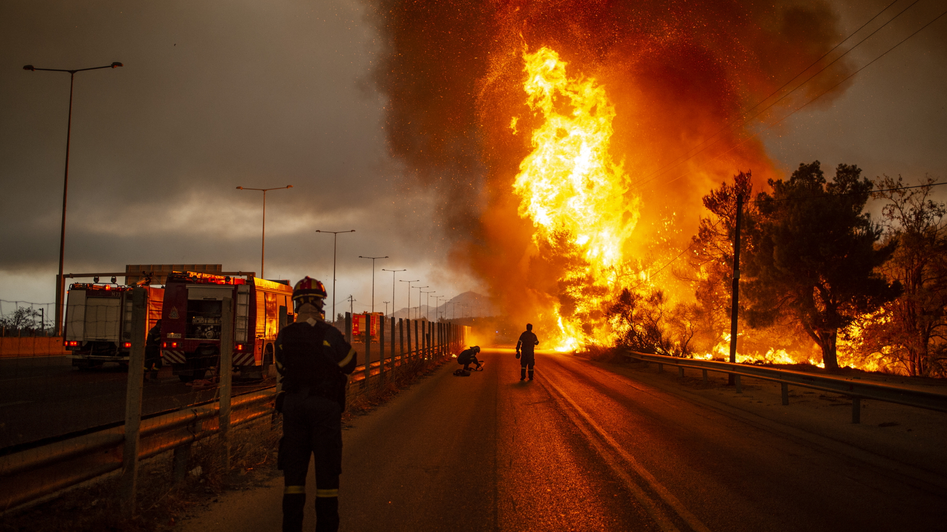 Waldbrände in Südosteuropa: "Ein noch nie da gewesener Zustand"