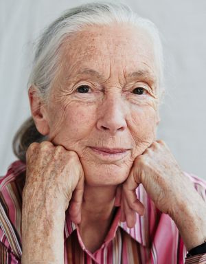 Entrevista | Jane Goodall: “Son sexis los chimpancés”