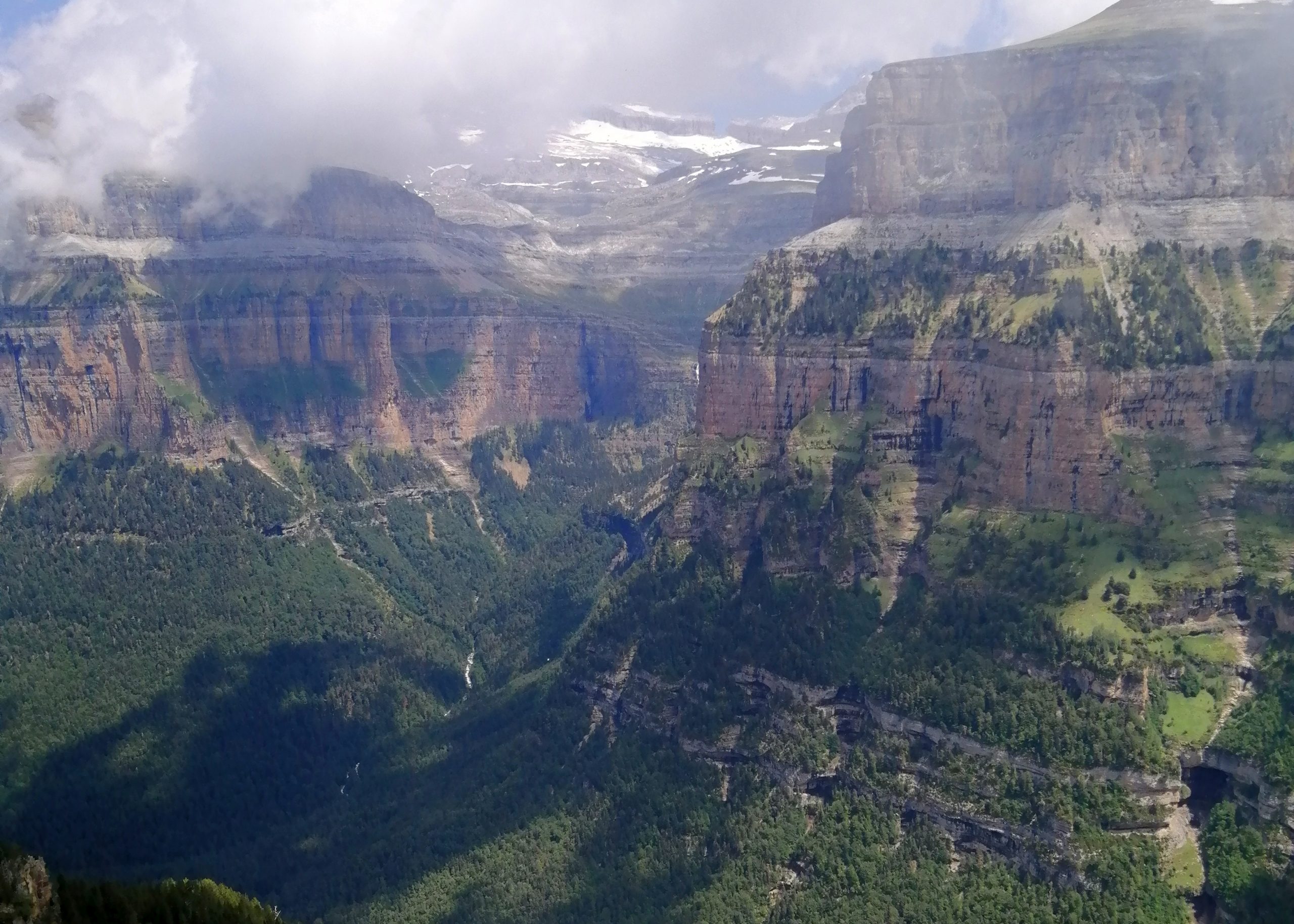 El cambio climático también trastorna a los bosques del norte