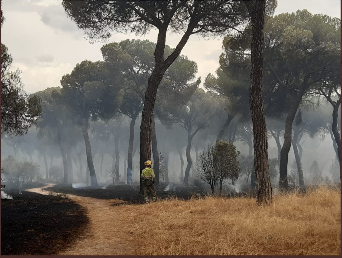 Controlado de nuevo el incendio en El Tiemblo (Ávila) tras arrasar más de 800 hectáreas