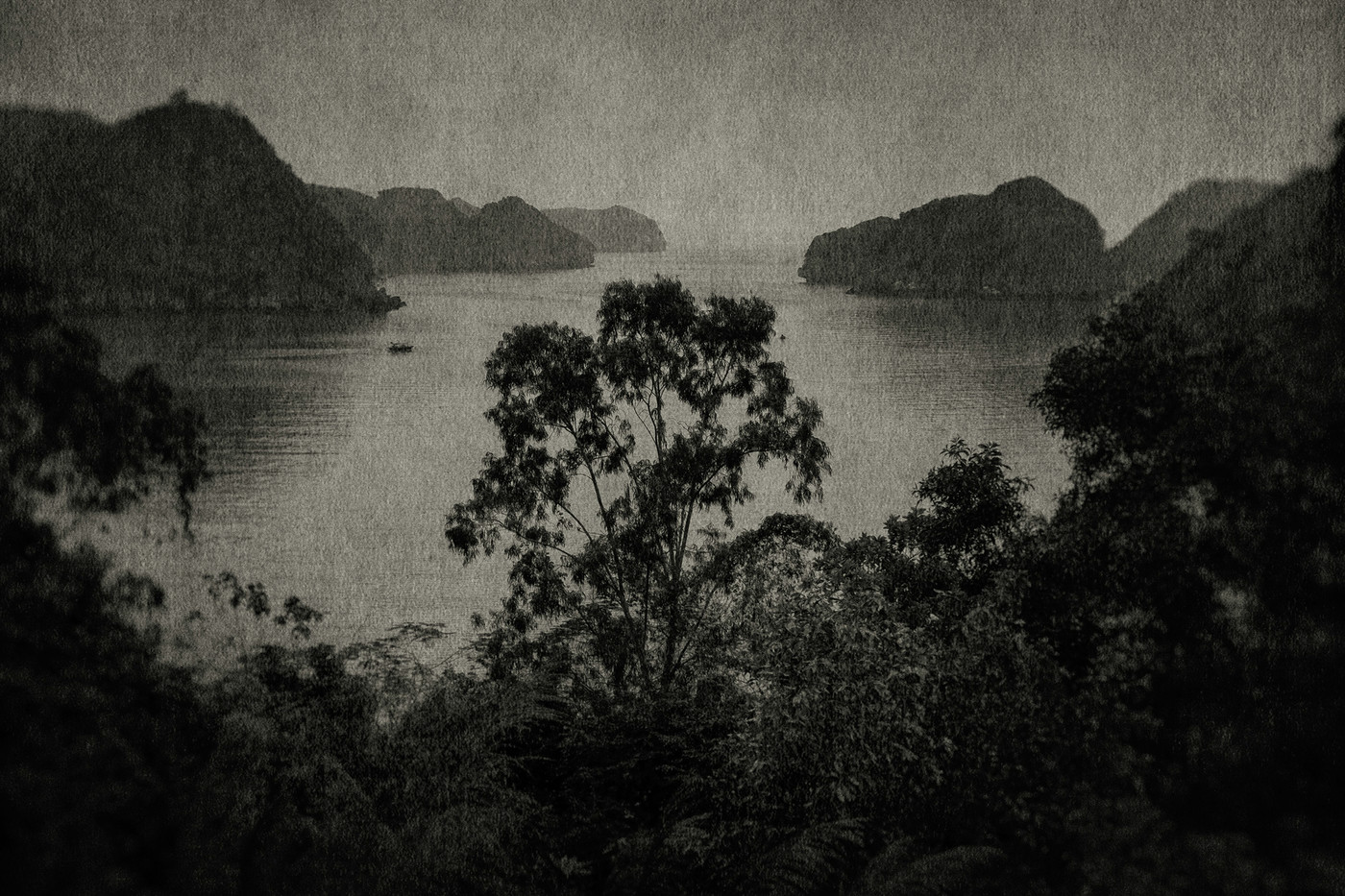 Un rêve d’Indochine dans le regard de Flore