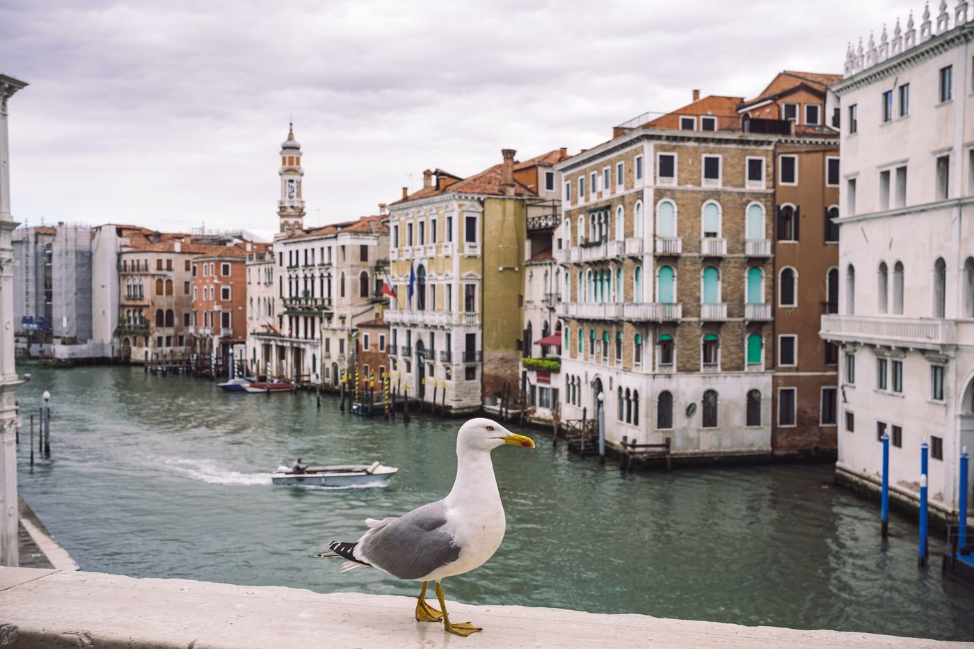 « Si vous revenez à Venise, faites-moi signe »