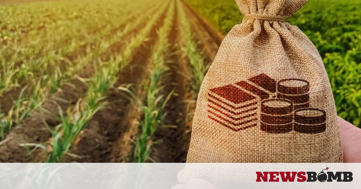 ΟΠΕΚΕΠΕ: Πληρωμές ενισχύσεων ύψους 246,3 εκατ. ευρώ - Οι δικαιούχοι αγρότες και τα ποσά