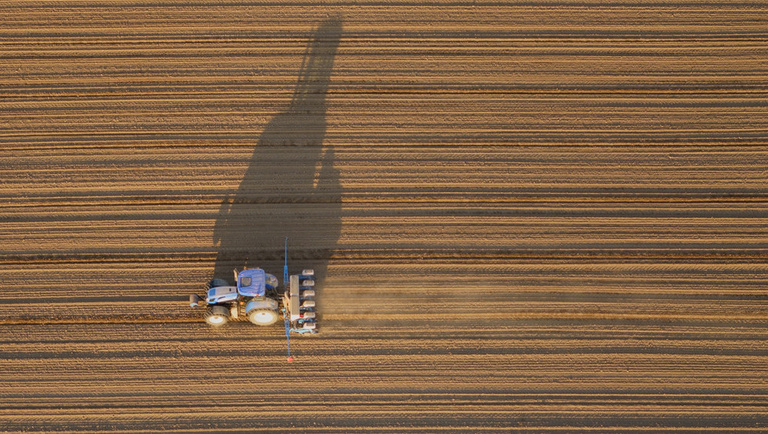 Elvárják a minőséget az élelmiszertől a magyarok: ebből újabb drágulás lesz