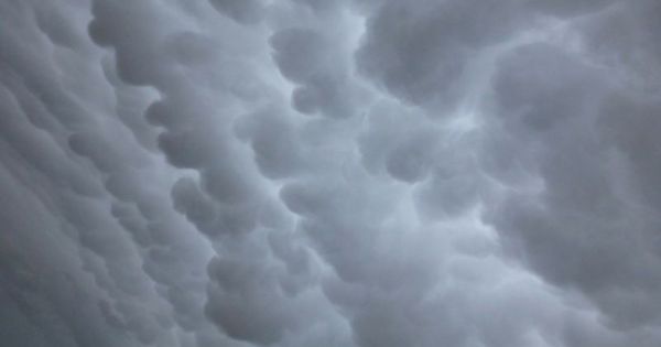 Ombudsmant választ a parlament