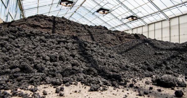 Az Mszp Brüsszelhez fordult a Magyarországra hordott horvát és szlovén szennyvíziszap miatt