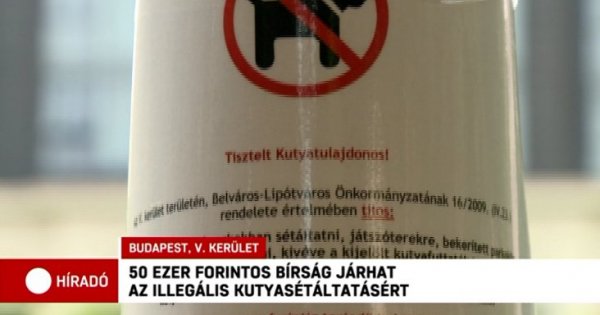 súlyos bírság járhat már a sétáltatásért