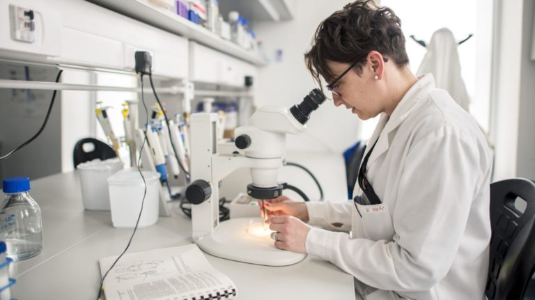 A tudás felelősség | Magyar Nemzet