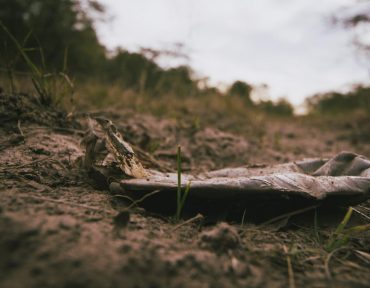 Éveken át szennyezték a pestszentimreiek kútjait