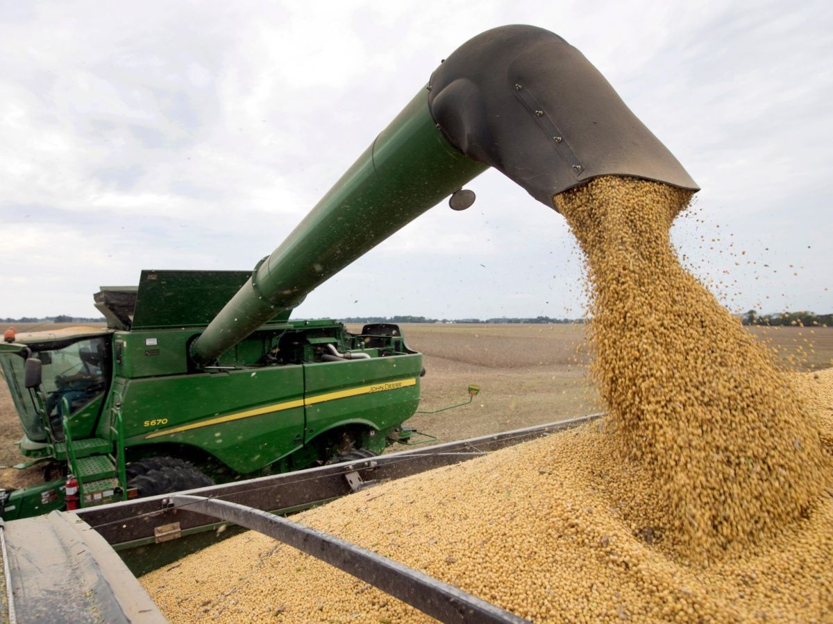 Imponer arancel a importaciones de maíz de EUA, plantean en Sinaloa