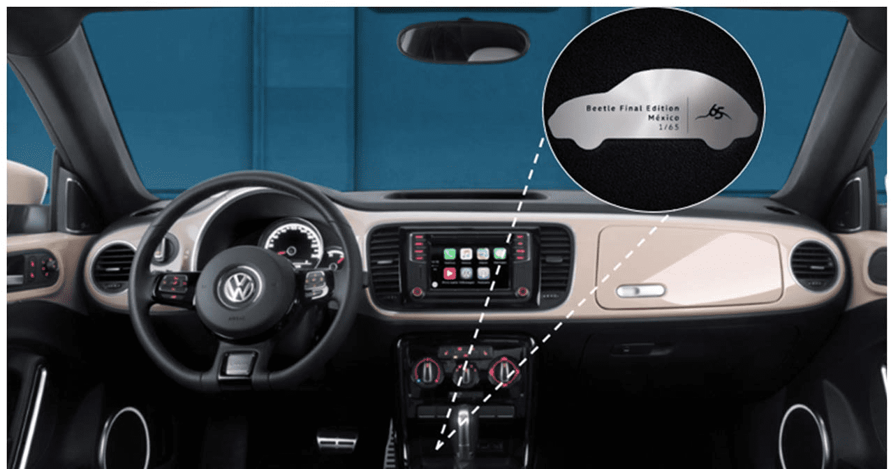 amazon beetle final edition