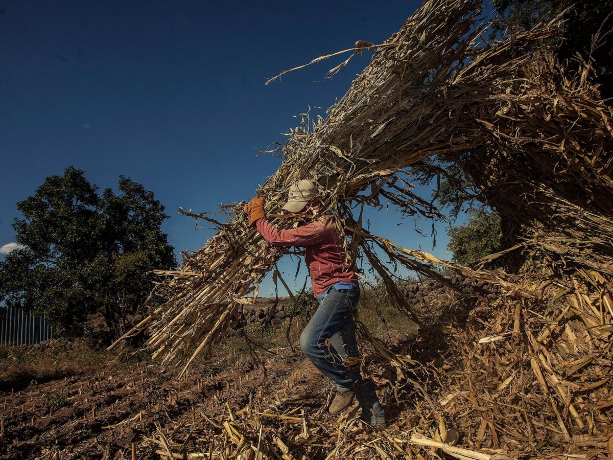 Destacan el crecimiento y solidez de arrendadora Mega