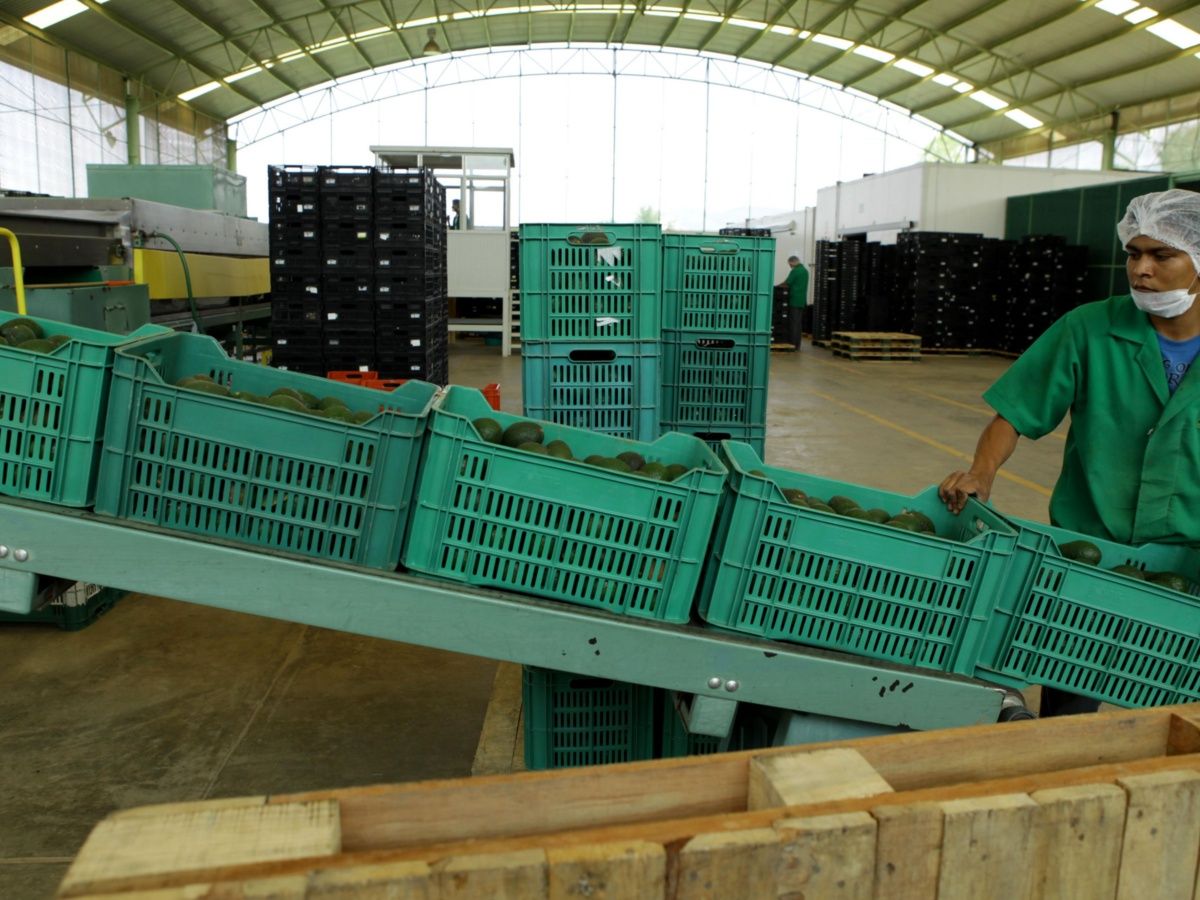 Repuntan exportaciones durante julio en México