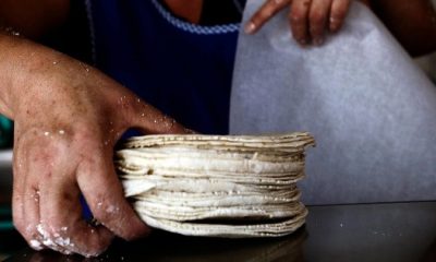 Precio de la tortilla: Advierten que podría llegar hasta a 24 pesos por kilo