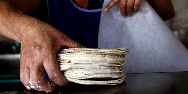 Precio de la tortilla: Advierten que podría llegar hasta a 24 pesos por kilo