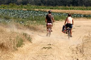 W Polsce mamy susz. Droej woda i ywno. Obfite deszcze nie pomog