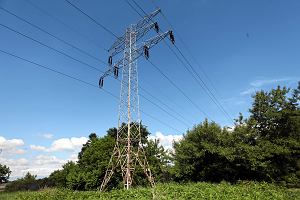 Firmy uratuj± nas przed egipskimi ciemno¶ciami? Na sterowanym ograniczeniu zu¿ycia pr±du mog± zarobiæ