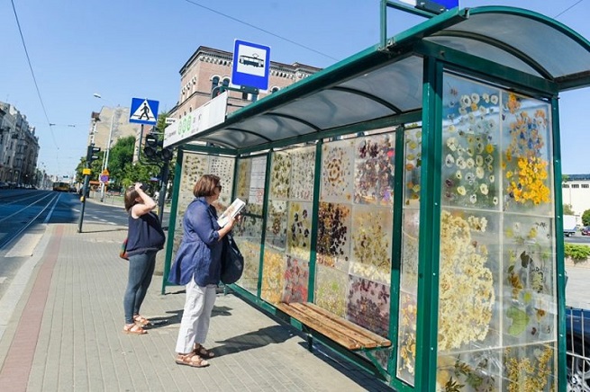 Przystanek tramwajowy w centrum Łodzi cały w kwiatach