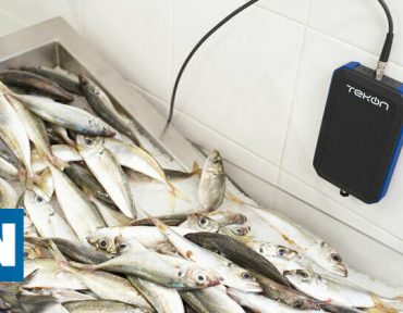O desperdício alimentar na cadeia do frio atinge máximos históricos