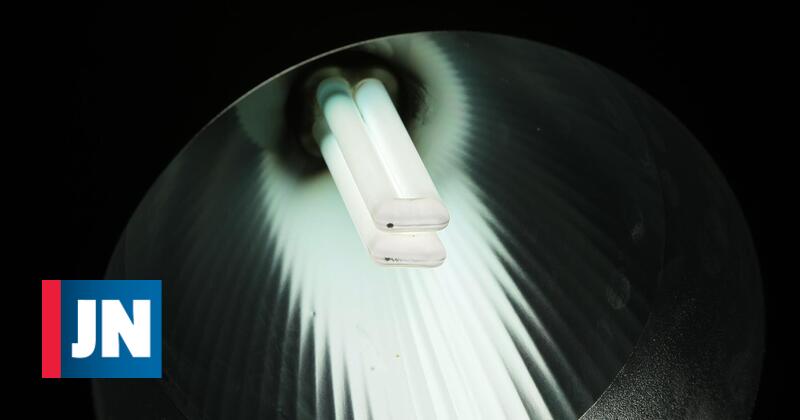 Europeus pagam energia mais cara porque ″Comissão não proíbe lâmpadas fluorescentes″