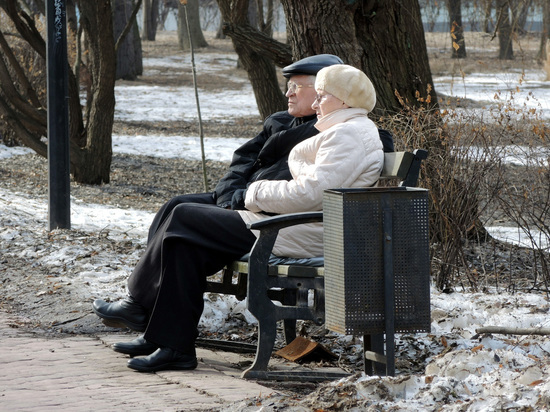 Экономисты оценили последствия пенсионной реформы