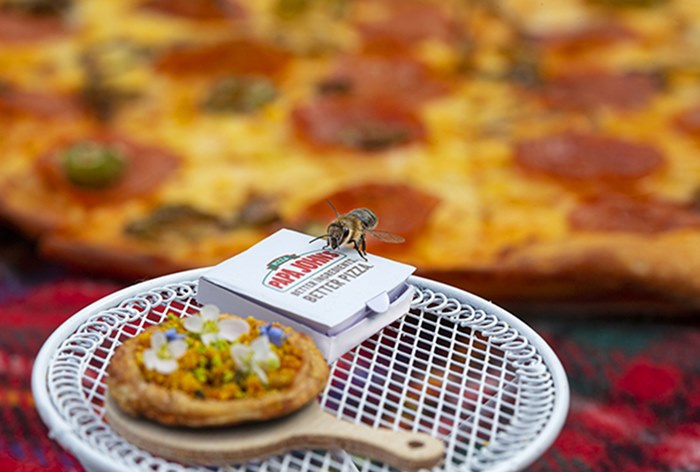 Papa John’s приготовил пиццу для пчел — Beezza