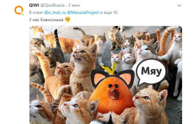 СберКот, Кивисонька и Кошка-Окошка: бренды придумали имена своим питомцам в честь Всемирного дня кошек