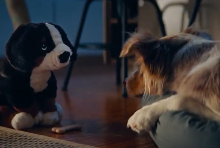 Ikea разлучила и воссоединила бездомных собак в своей рекламе