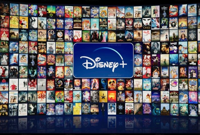 Walt Disney готовится к глобальному запуску стриминговых сервисов