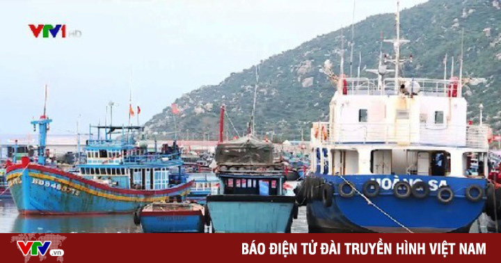 Nhiều tỉnh xin giãn nợ cho chủ tàu vỏ thép