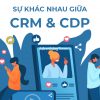 CƠ BẢN VỀ SỰ KHÁC VÀ GIỐNG NHAU GIỮA CRM & CDP - Adtimes.vn