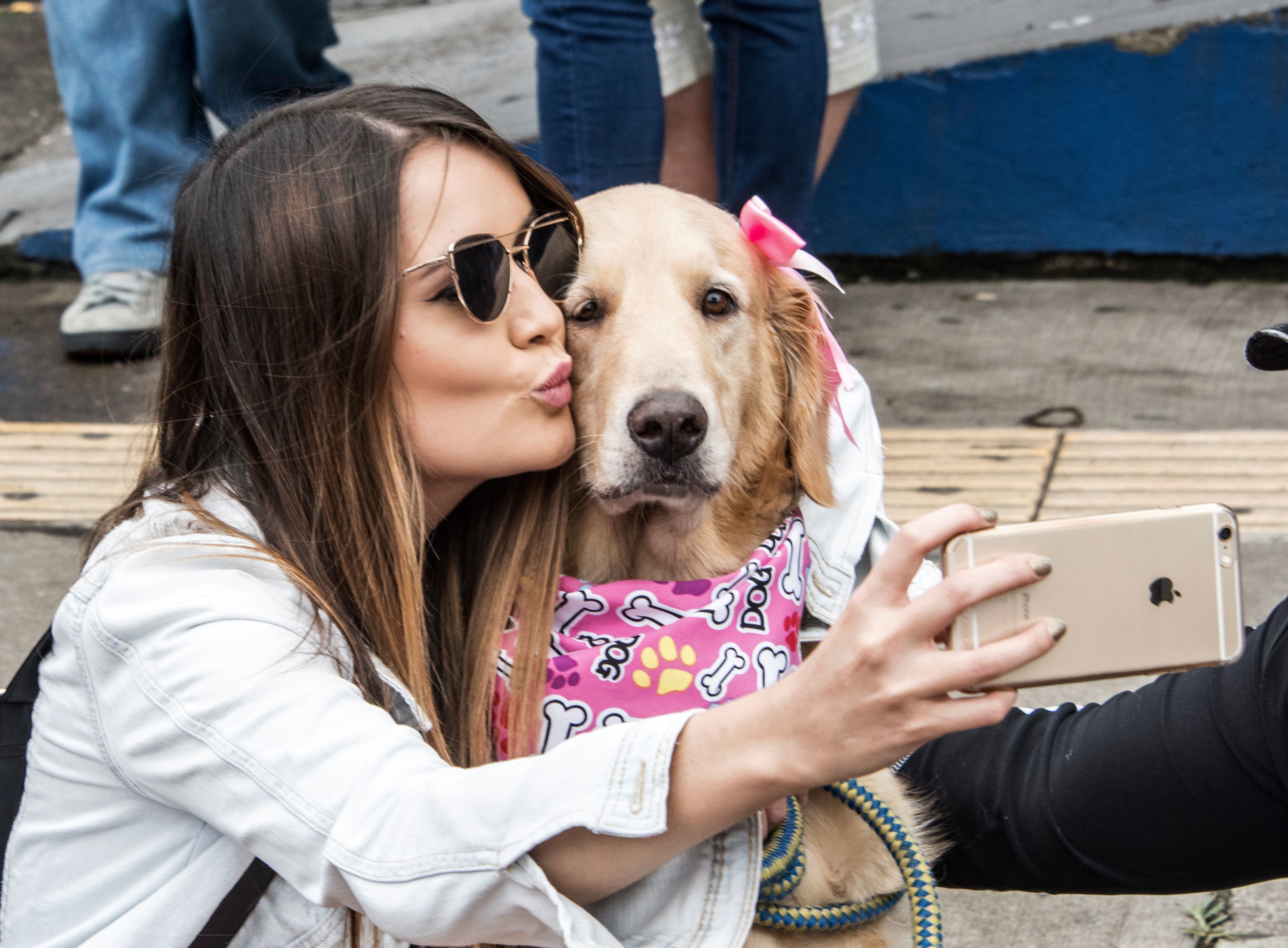 Millennials at risk of fraud over Instagram pet pictures: Santander