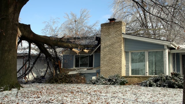 Tree fell on a house