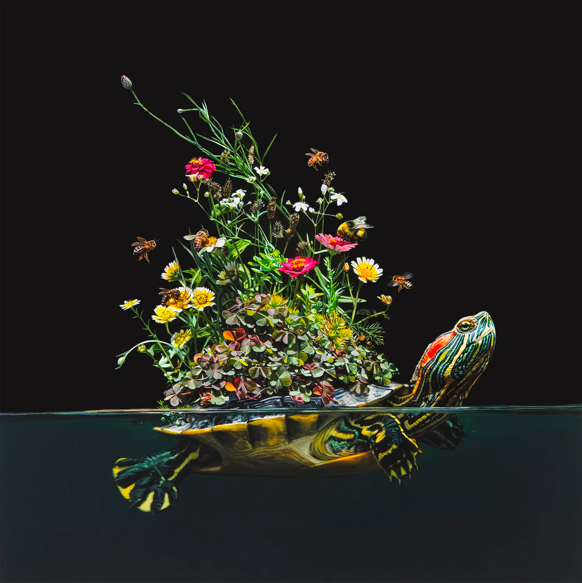 Animals Evolve into Islands Teeming With Coral, Succulents, and Tropical Fish in Hyperrealist Paintings by Lisa Ericson